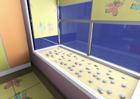 �ɹ�����13